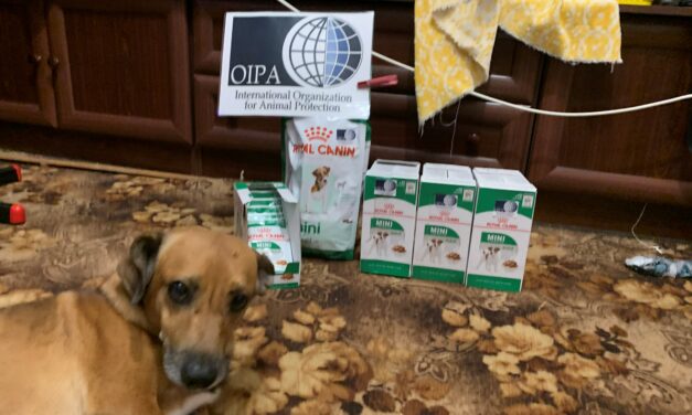 YOUR DONATIONS FOR EMERGENCY UKRAINE MADE A DIFFERENCE: CASPER AND FRIENDS