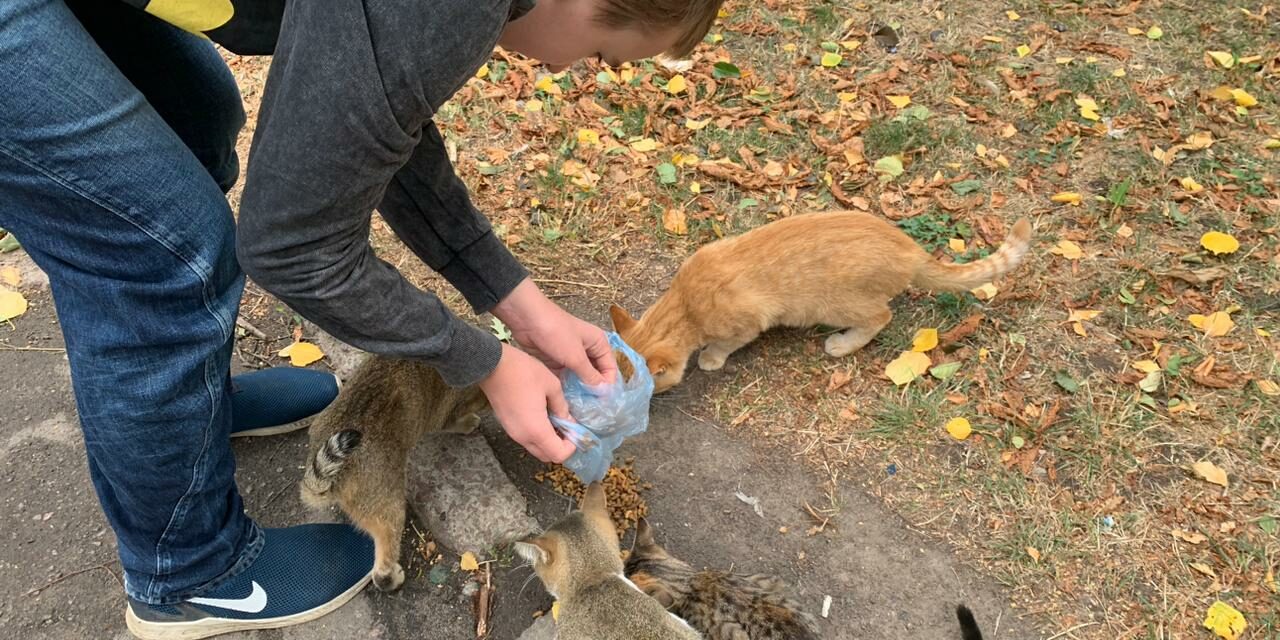 RELIEF EFFORTS FOR ANIMALS IN MYKOLAIV AND VILHNOVISK