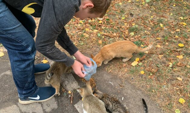 RELIEF EFFORTS FOR ANIMALS IN MYKOLAIV AND VILHNOVISK