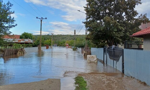 FLASH FLOODING IN GALATI, EMERGENCY RESPONSE FOR AFFECTED ANIMALS