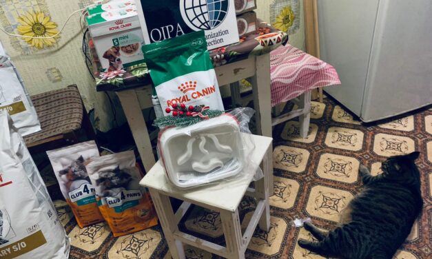 NOVEMBER’S SUPPORT FOR ANIMALS IN UKRAINE