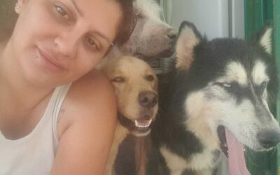 Each little donation can save a life: let’s save animals from war in Lebanon