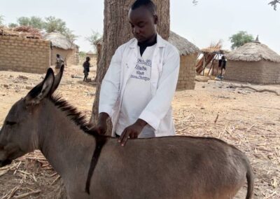 OIPA Cameroon activities