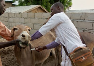 OIPA Cameroon activities