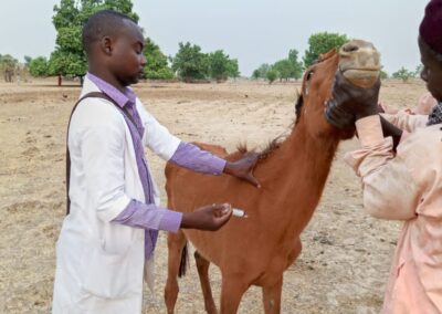 OIPA Cameroon activities