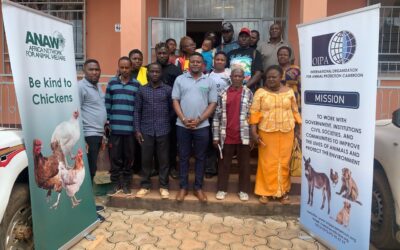 OIPA Cameroon main activities: campaigns in defense of donkeys will continue into 2025