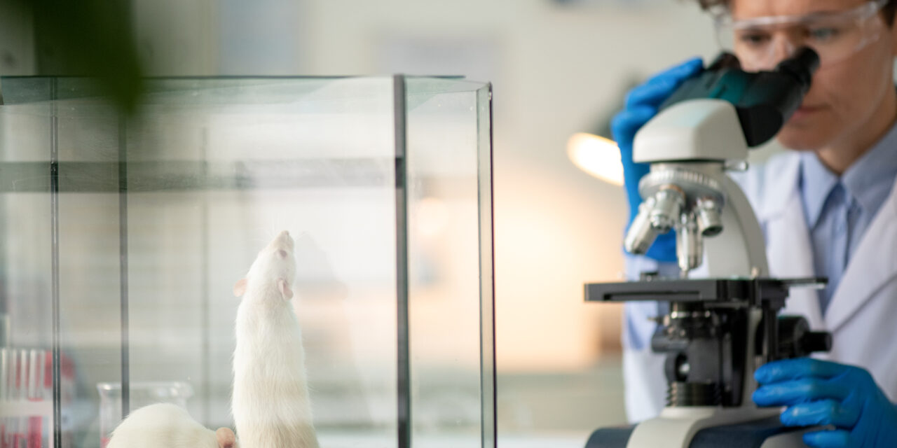 World Day For Animals In Laboratories 2025: more ethical alternatives exist and work