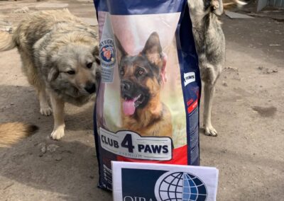 help for ukraine dogs