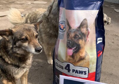 help for ukraine dogs