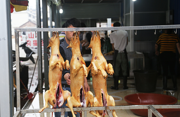 Yulin Festival