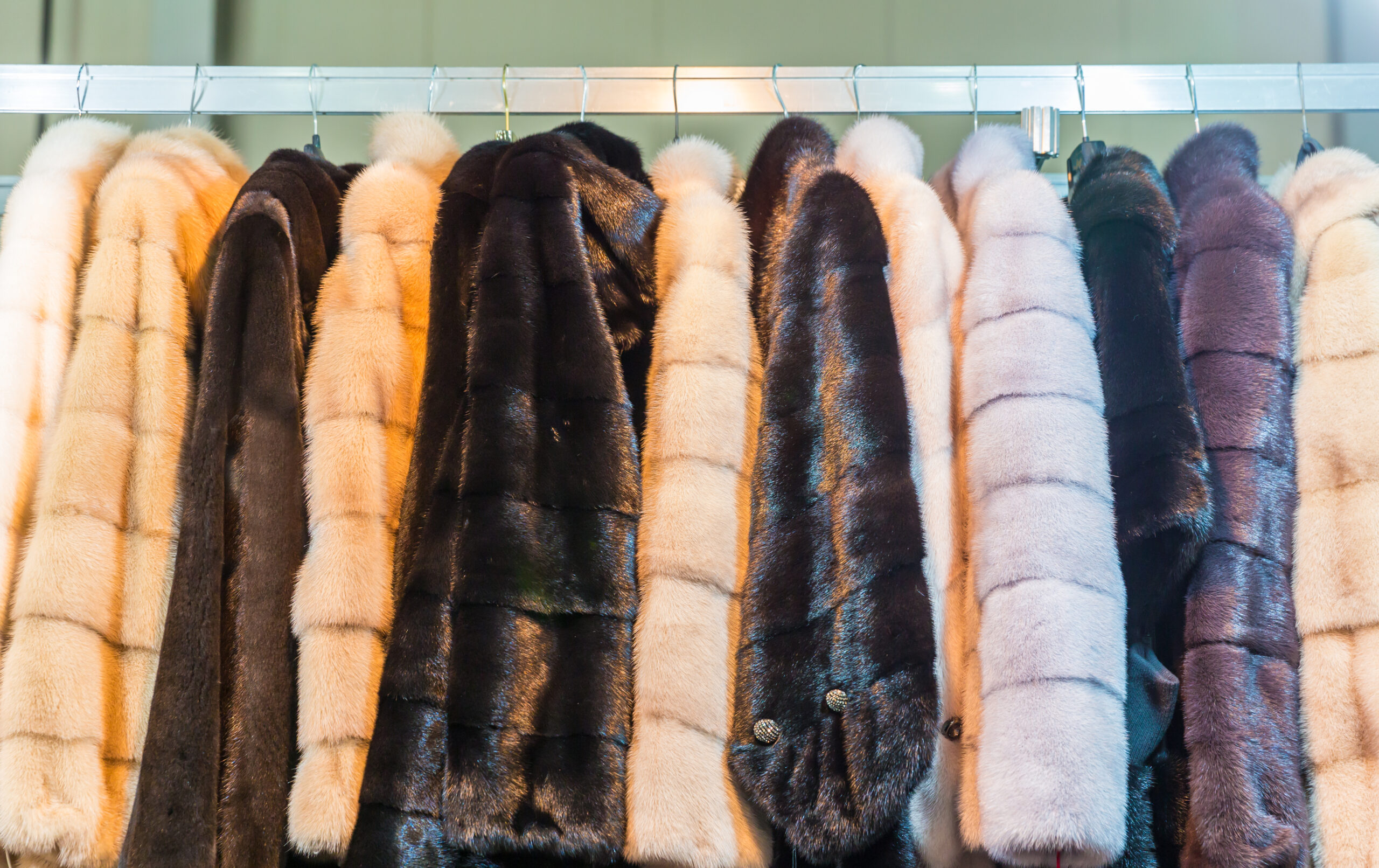 Cats and dogs fur china