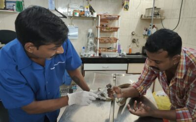 OIPA Maharashtra’s activities: the team rescued a trapped cobra from a likely demise