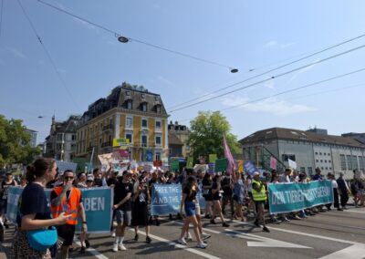 Animal Rights March