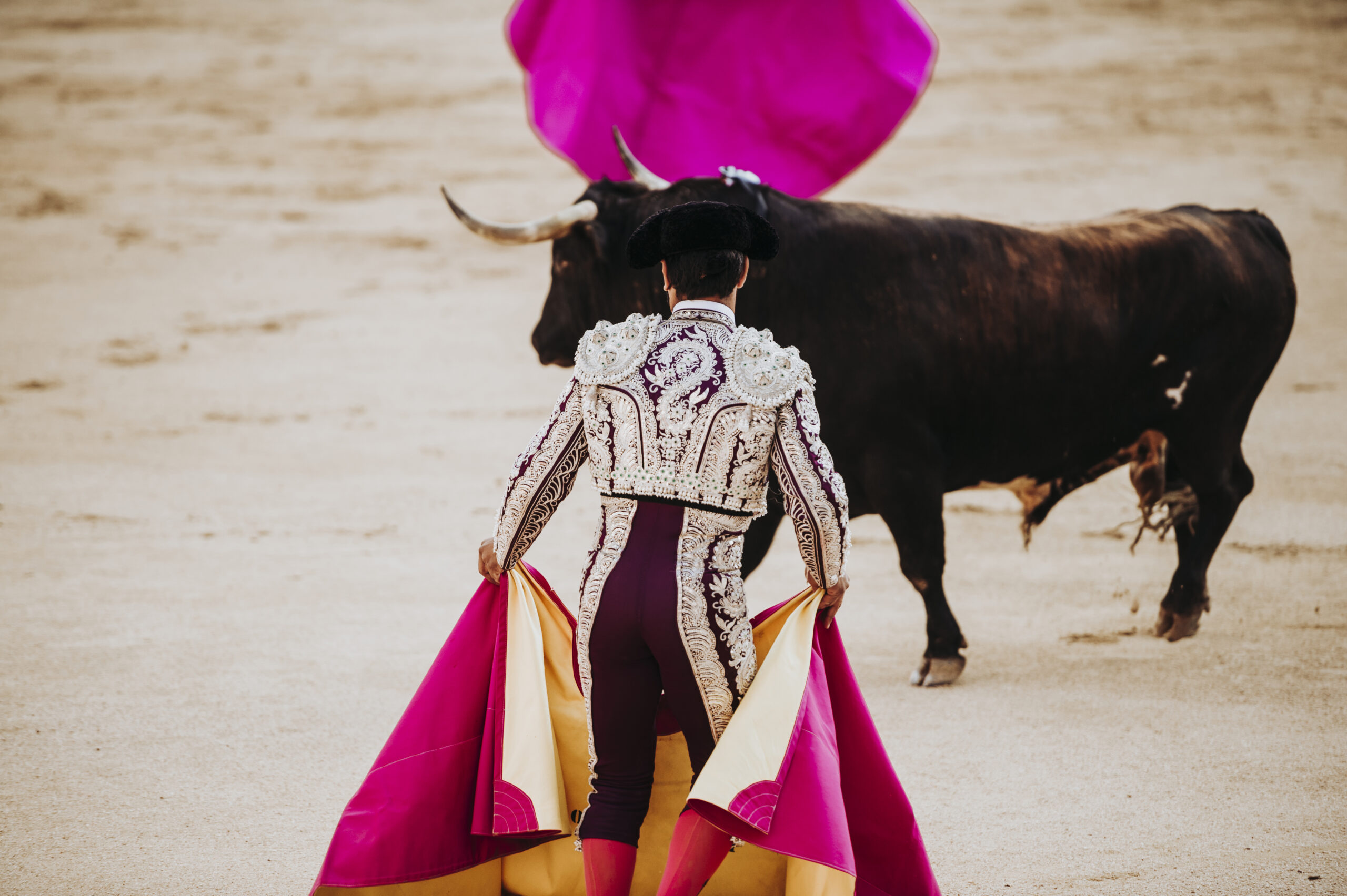 tourism and animal exploitation