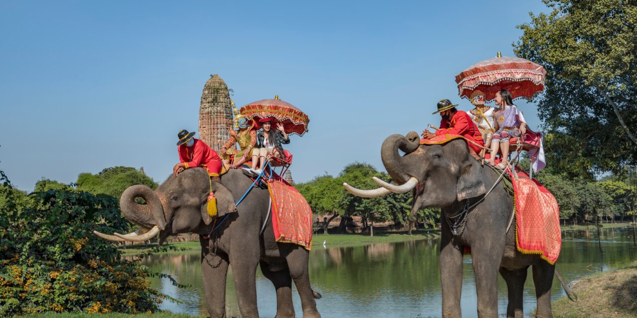 Tourism and animal exploitation: what activities should you avoid on vacation?