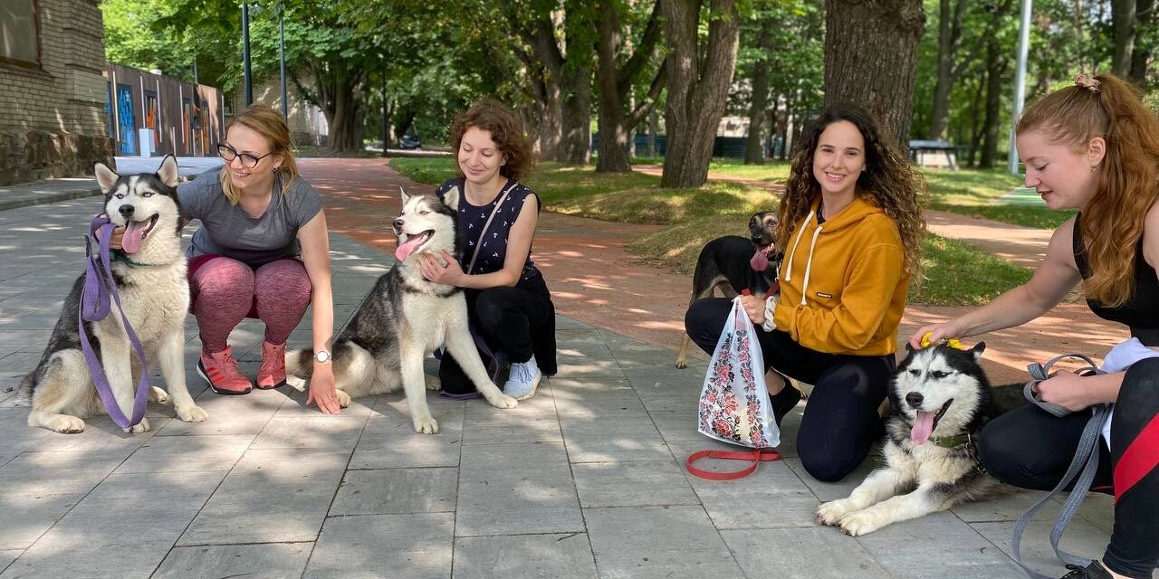 OIPA Ukraine, the tireless work of volunteers of KSPA “Lucky Strand”