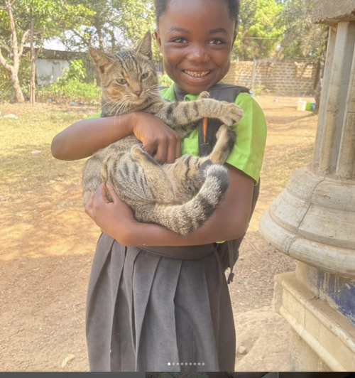 coalition for cruelty-free africa