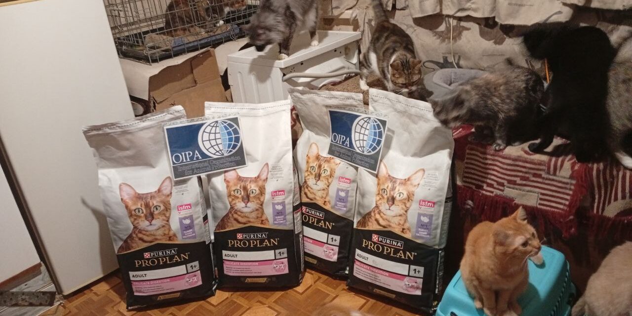 A gift for cats of Ukraine: “Life” Foundation in Cherkasy has received 56 kg of food
