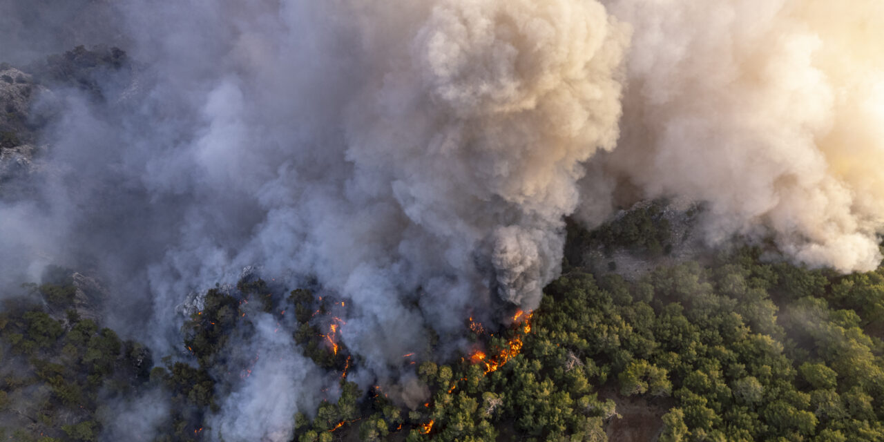 COP30 WAS A TOTAL FAILURE