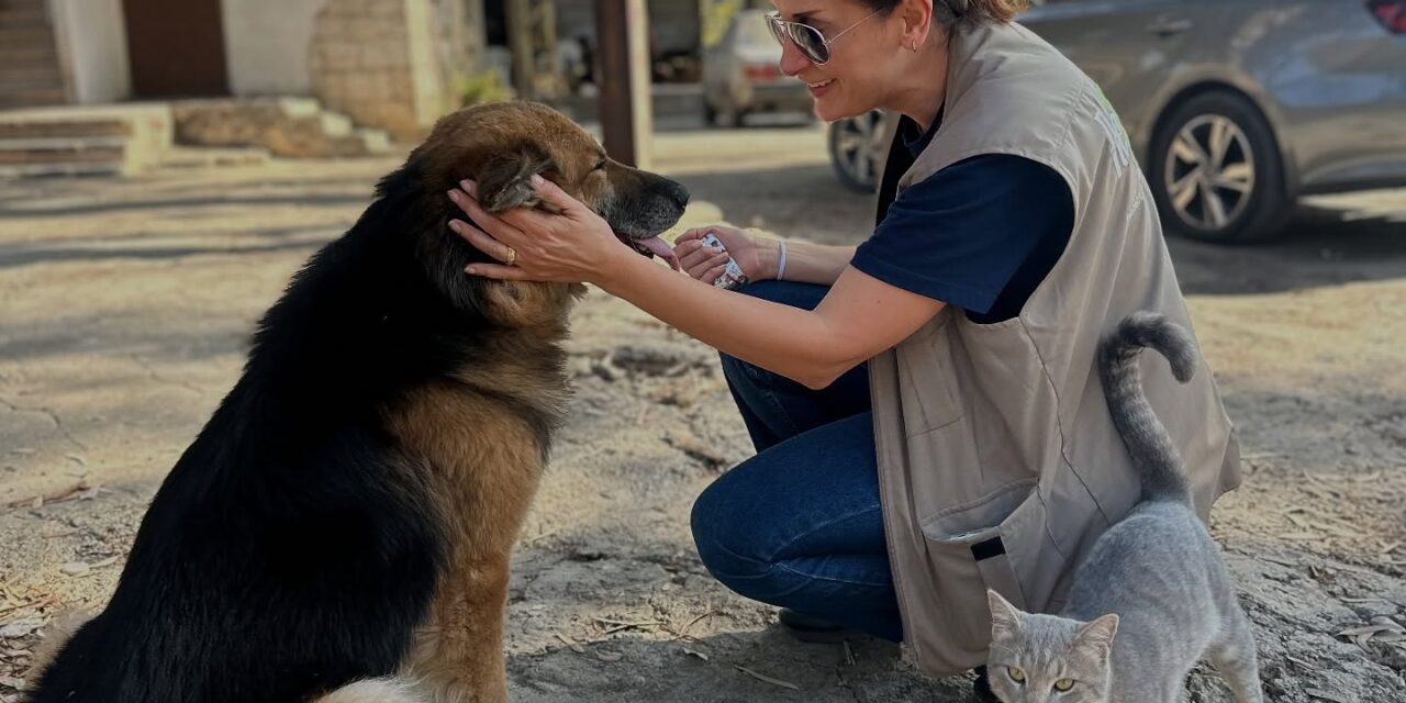 Refq Animal Welfare from Libano