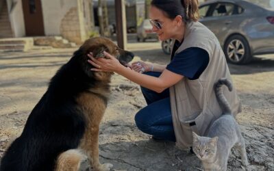Refq Animal Welfare from Libano