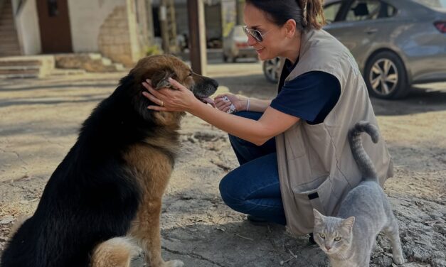 Refq Animal Welfare from Libano