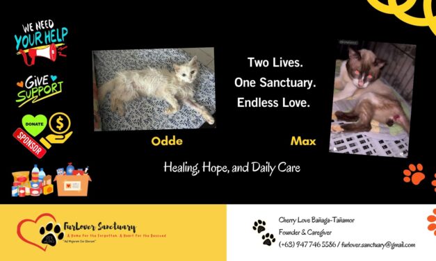 FurLover Sanctuary in the Philippines