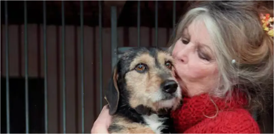 OIPA remembers Brigitte Bardot and her commitment to animal rights