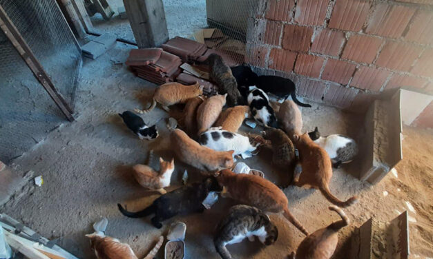 Donations for Wagwag