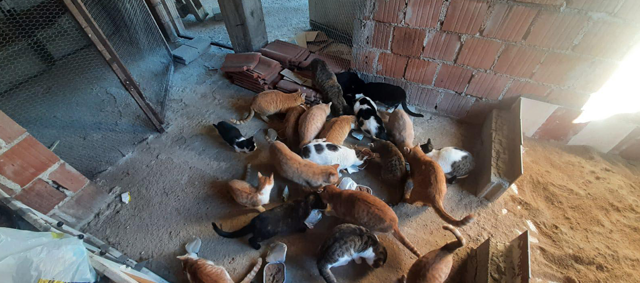 Donations for Wagwag