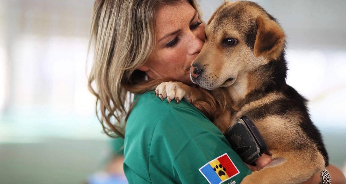 Three Days to Save Lives: Join the Spay & Neuter Campaign in Romania