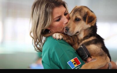 Three Days to Save Lives: Join the Spay & Neuter Campaign in Romania