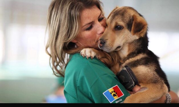 Three Days to Save Lives: Join the Spay & Neuter Campaign in Romania