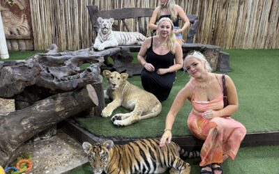 Animalandia Maya: Mexican Authorities Respond to OIPA’s Appeal and Confirm Ongoing Wildlife Protection Measures
