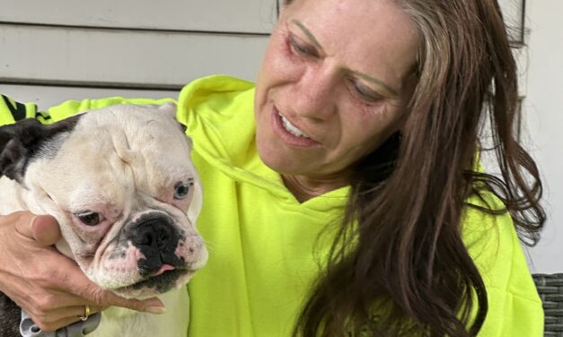 OIPA International welcomes Cristina Diril as Representative in Romania