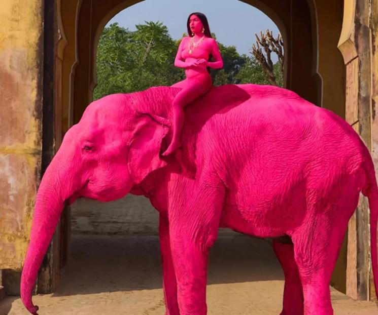 Justice for Chanchal – OIPA India initiates legal action against cruelty after elephant painted pink for photoshoot