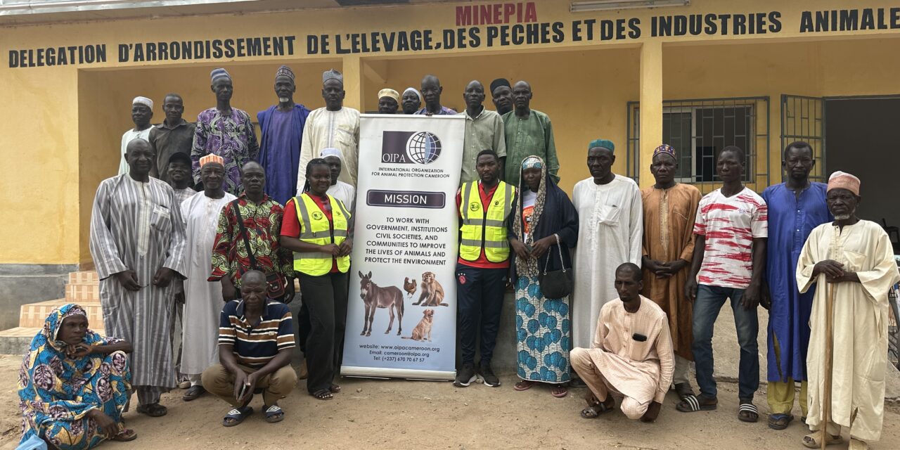 OIPA Cameroon: strengthening animal welfare through community training