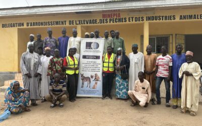 OIPA Cameroon: strengthening animal welfare through community training