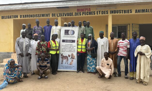 OIPA Cameroon: strengthening animal welfare through community training