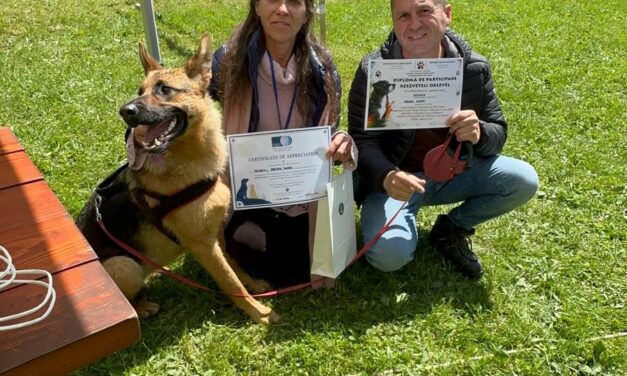 OIPA Romania Participates in Educational Event Promoting Adoption and Respect for Mixed-Breed Dogs