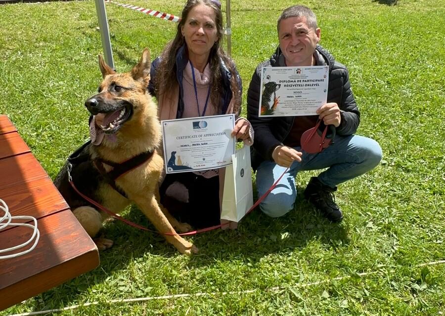 OIPA in Romania
