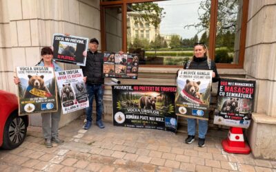 OIPA ETS raises concerns over Romania’s bear management policies under EU law