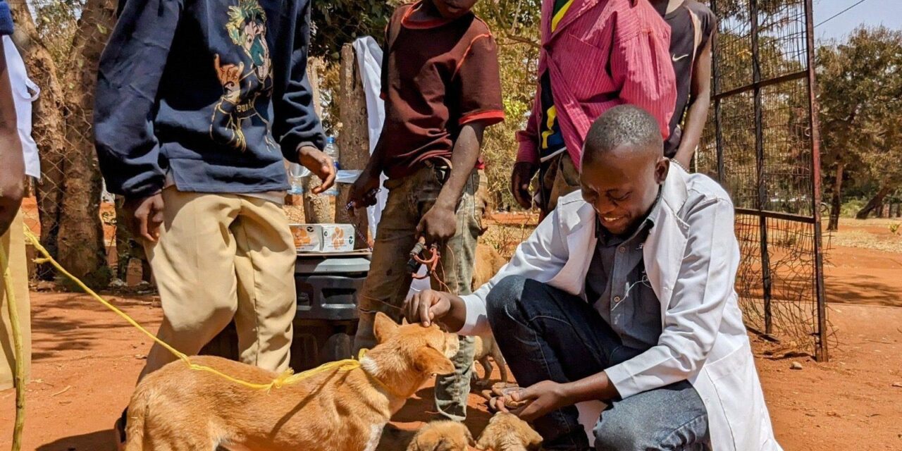 OIPA in Tanzania