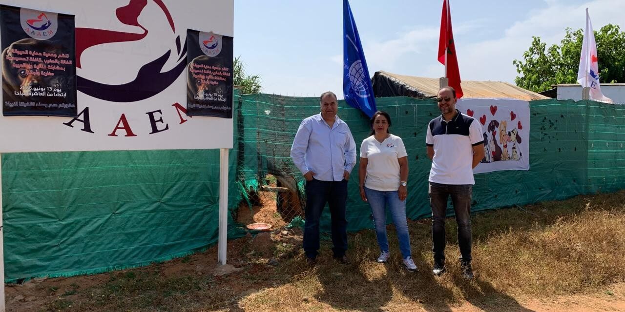 A New Safe Haven for Stray Animals Opens in Morocco