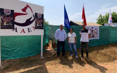 A New Safe Haven for Stray Animals Opens in Morocco