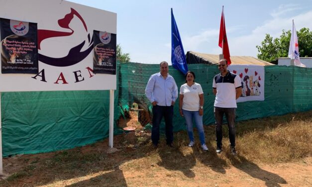 A New Safe Haven for Stray Animals Opens in Morocco