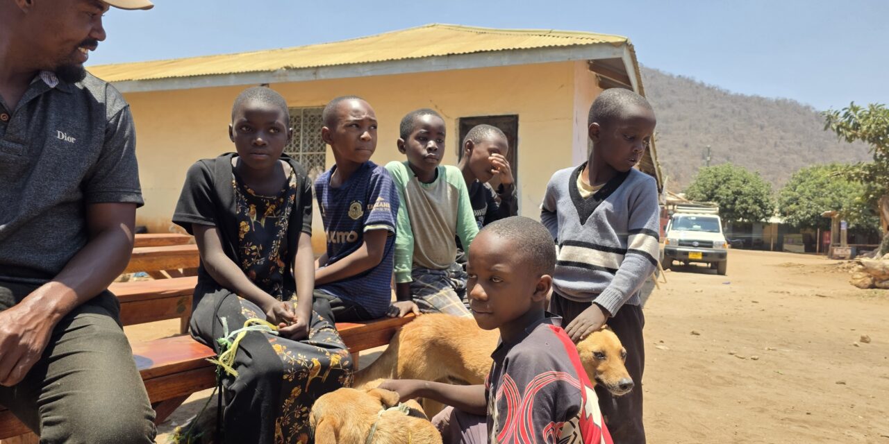 OIPA Tanzania Dog Training & Community Welfare Programme