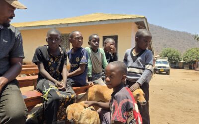 OIPA Tanzania Dog Training & Community Welfare Programme