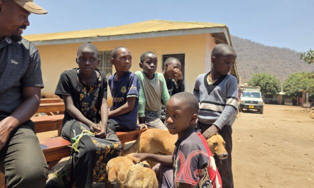 OIPA Tanzania Dog Training & Community Welfare Programme