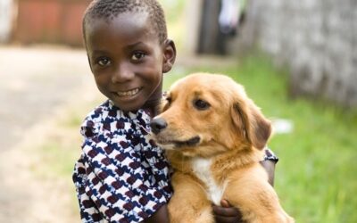 OIPA Liberia brings communities together to protect animals and prevent rabies